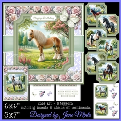 HANDSOME HORSES