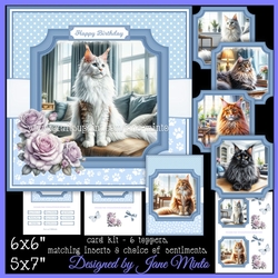 MAINE COON CATS