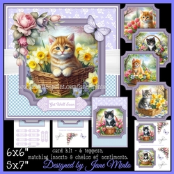 SPRING FLOWER KITTEN BASKETS