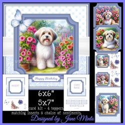 HAVANESE DOG toppers