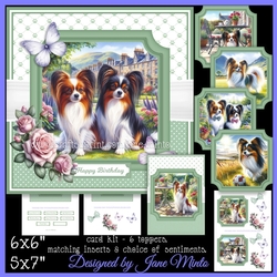 PAPILLON set 1