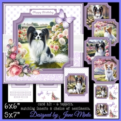 PAPILLON set 2