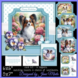 PAPILLON set 3