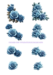 ROSES step by step SHEET 2
