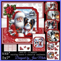 CHRISTMAS PAPILLONS