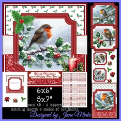 WINTER ROBIN - toppers