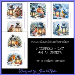 WINTER LANTERN BIRDS