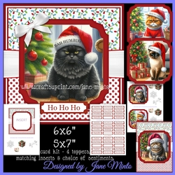 BAH HUMBUG - CATS