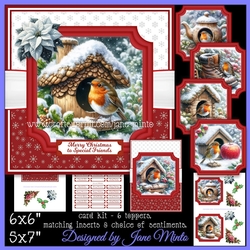 WINTER ROBIN HOUSE