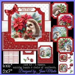 WINTER GARDEN HEDGEHOGS