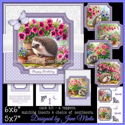 SUMMER GARDEN HEDGEHOGS