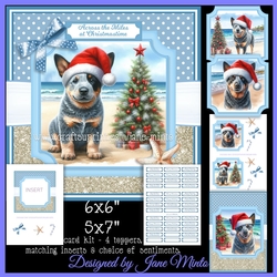 CHRISTMAS CATTLE DOGS - beach