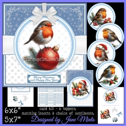 CHRISTMAS ROBIN BAUBLES