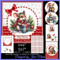 CHRISTMAS MOUSE with decoupage