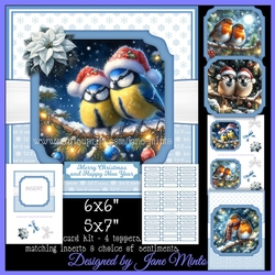 CHRISTMAS EVE BIRDS