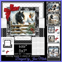 CHRISTMAS GYPSY VANNER