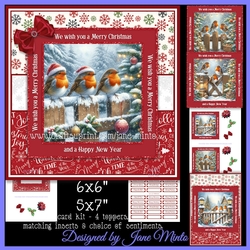 MERRY ROBINS