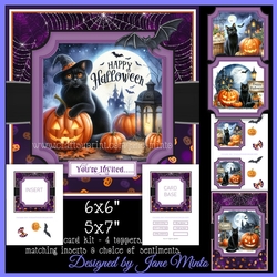 HALLOWEEN BLACK CAT