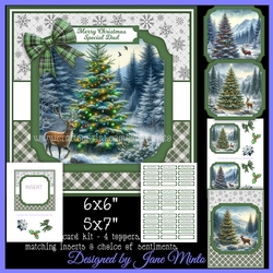 WILD CHRISTMAS