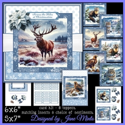 WILD SCOTLAND IN WINTER