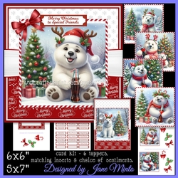 CHRISTMAS POLAR BEAR