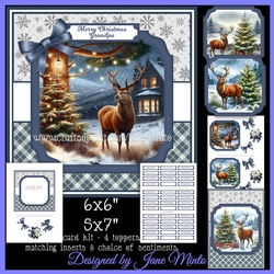 RED DEER AT CHRISTMAS
