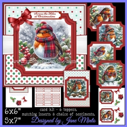 TARTAN ROBIN