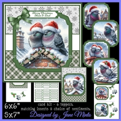 CHRISTMAS PIGEON