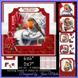 SANTA WITH ROBIN