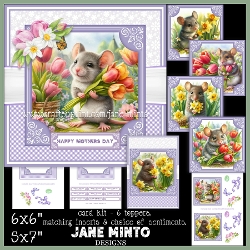5X7 & 6X6 - SPRING MICE