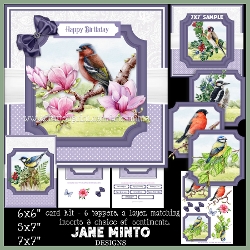 BIRD WATCHING - 6x6 5x7 7x7