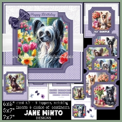 CHINESE CRESTED DOG