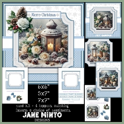 BLUE TIT CHRISTMAS LANTERN