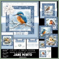 FROSTY MORNING BIRDS