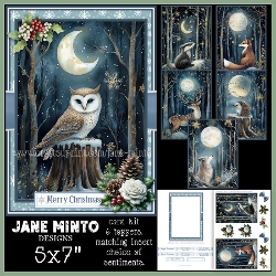 WINTER NIGHT FOREST