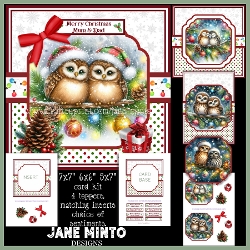 CHRISTMAS OWLS