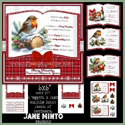 FESTIVE ROBIN 6X6