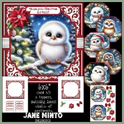 CHRISTMAS OWL 6x6