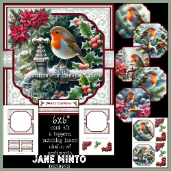 WINTER GARDEN ROBIN