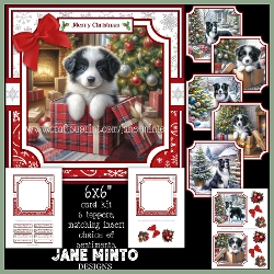 CHRISTMAS COLLIE 6x6