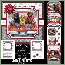 CHRISTMAS LABS 6x6 5x7