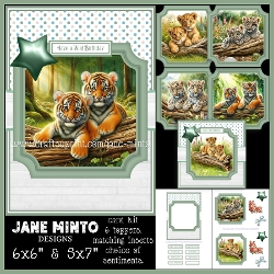 6x6 & 5x7 CUTE CUBS
