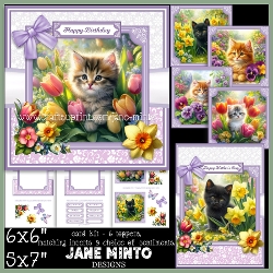 SPRING KITTENS 5x7 6x6