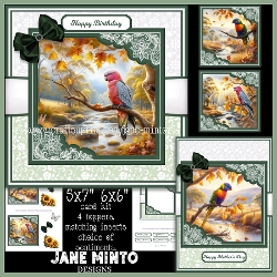 AUTUMN PARROTS 6x6 5x7