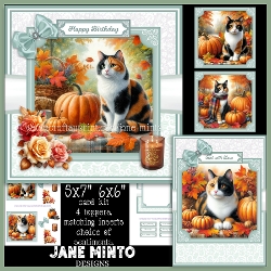 5x7 6x6 AUTUMN CALICOS