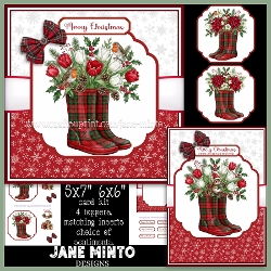 CHRISTMAS WELLIES (with robins and mouse)
