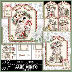 THE CHRISTMAS OWL