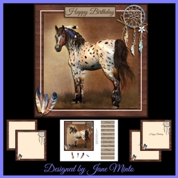 INDIAN HORSE