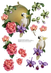 BEAUTIFUL BIRD
