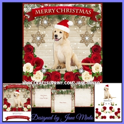CHRISTMAS PUPPY